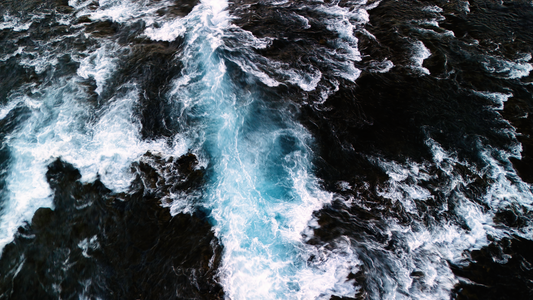 Main image Torrent