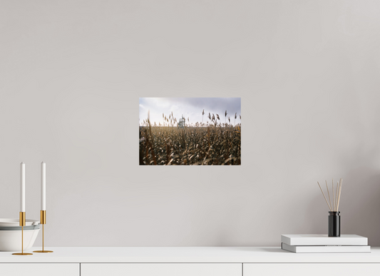 12 x 8″, Photo Print Among the Grass
